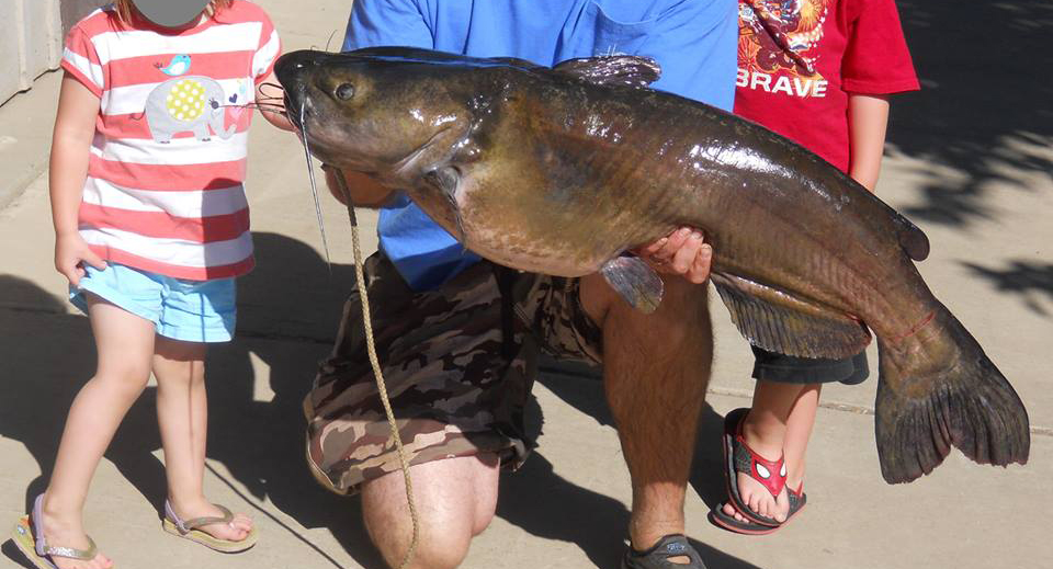 32 Pound Catfish At Lake Amador Fishing Camping In Northern Ca