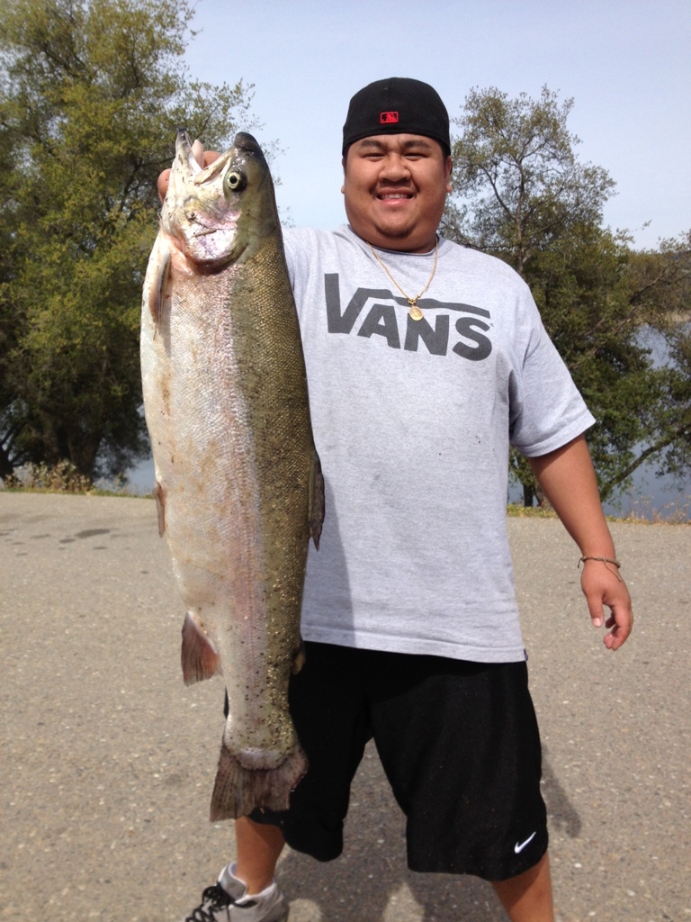 Fishing 24 Hours A Day 7 Days A Week Year Round Fishing Camping In Northern Ca Lake Amador Resort Ione Ca 209 274 4739