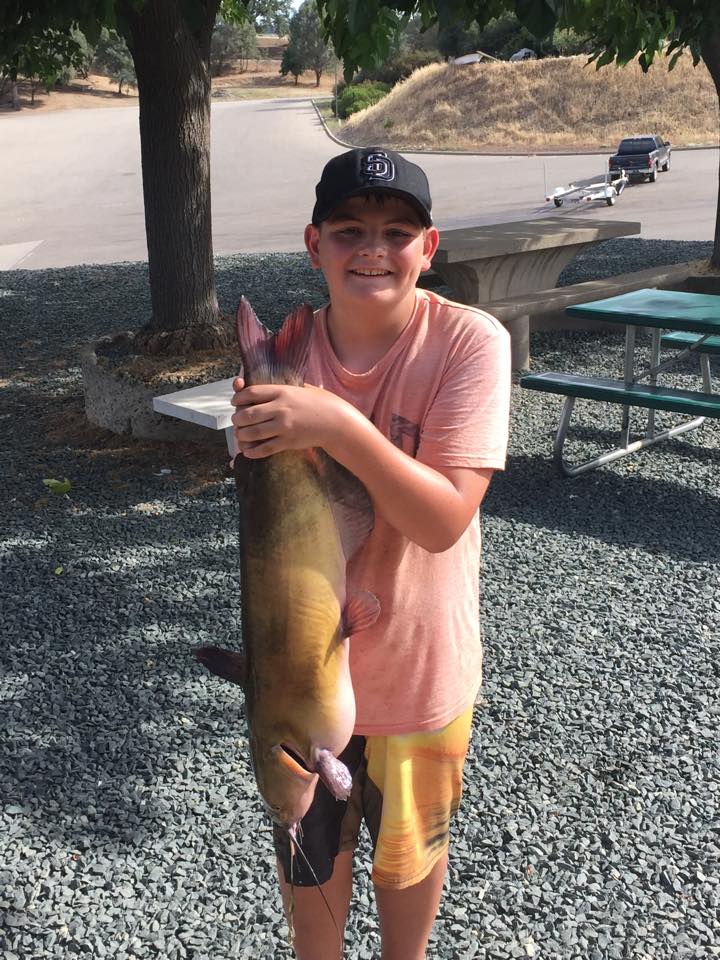 Jake Crigger caught this 15.68lb catfish on a worm at the back of the lake near Jackson creek. Id say that's one happy little fisherman there! 